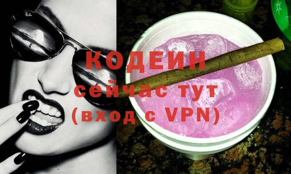 крисы Магас