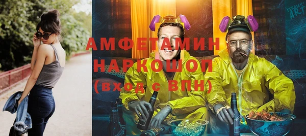 крисы Магас