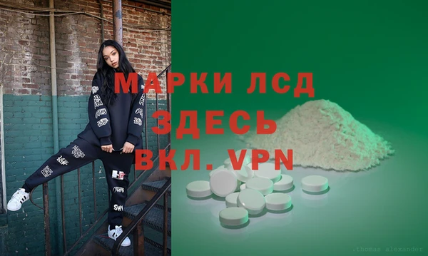 крисы Магас