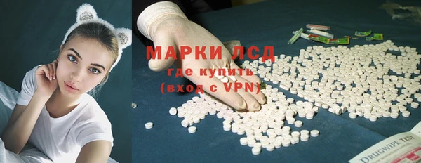 крисы Магас