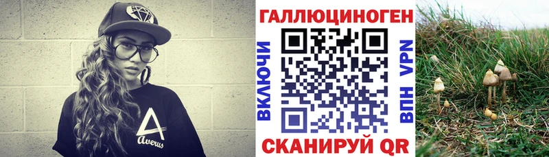 Псилоцибиновые грибы прущие грибы  площадка какой сайт  Сольвычегодск 